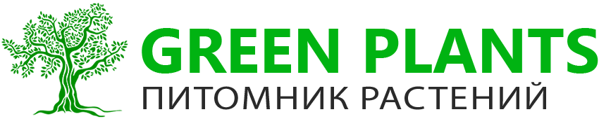 Купить деревья и саженцы хвойных и лиственных пород | АгроСад